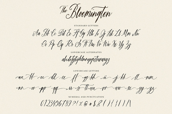 The Bloomington Font in Script Fonts - product preview 2