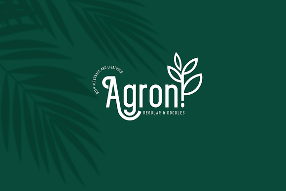 Agron in Display Fonts - product preview 10