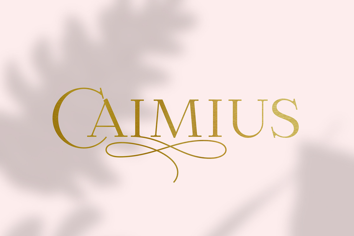 Calmius EL in Serif Fonts - product preview 8
