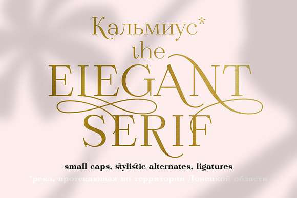 Calmius EL in Serif Fonts - product preview 1