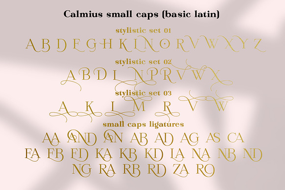 Calmius EL in Serif Fonts - product preview 8