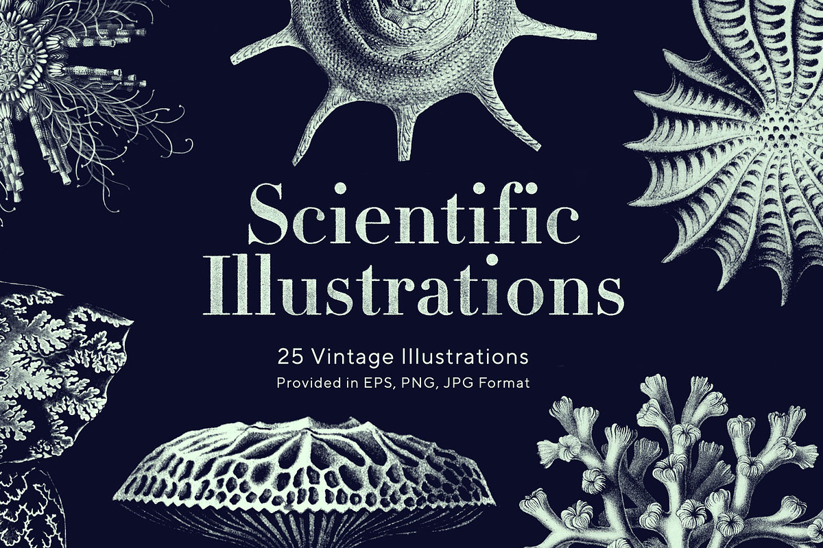 Scientific Illustrations in Illustrations - product preview 8