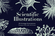 Scientific Illustrations