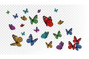 Flying butterflies. Colorful