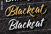 Blackcat Script // Layered Fonts