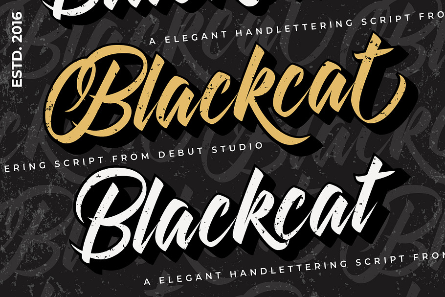 Blackcat Script // Layered Fonts in Script Fonts - product preview 8