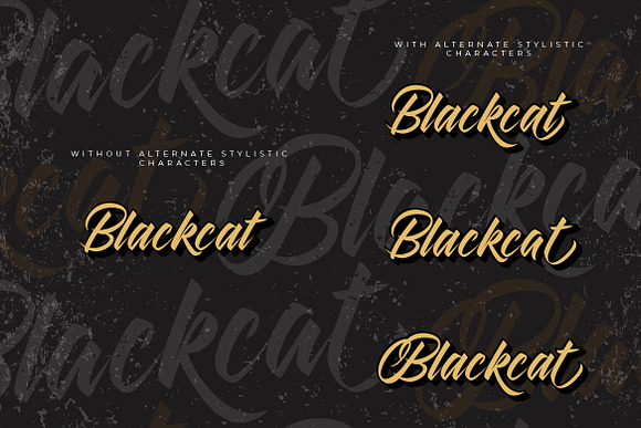 Blackcat Script // Layered Fonts in Script Fonts - product preview 10
