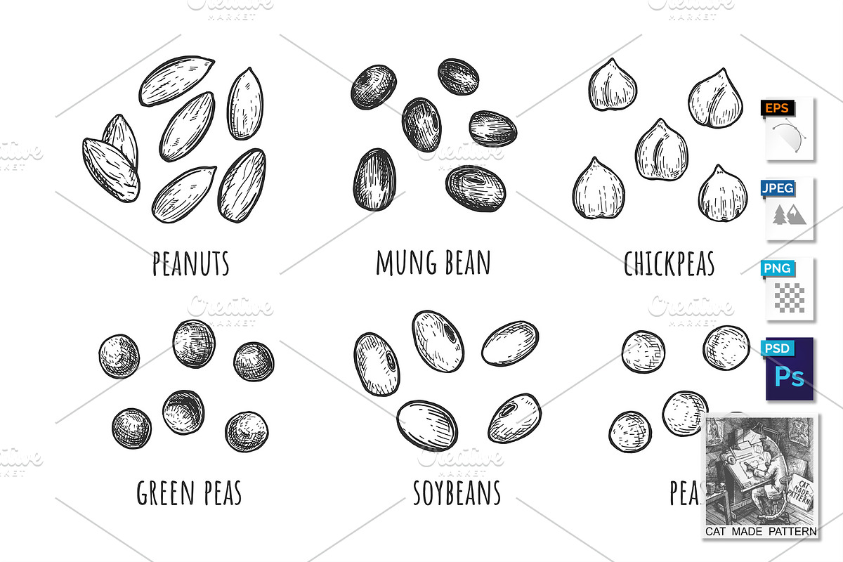 Piles of beans seeds set in Illustrations - product preview 8