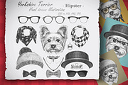 Yorkshire Terrier / Hipster