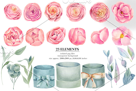 Floral boxes. Watercolor collection. in Illustrations - product preview 2