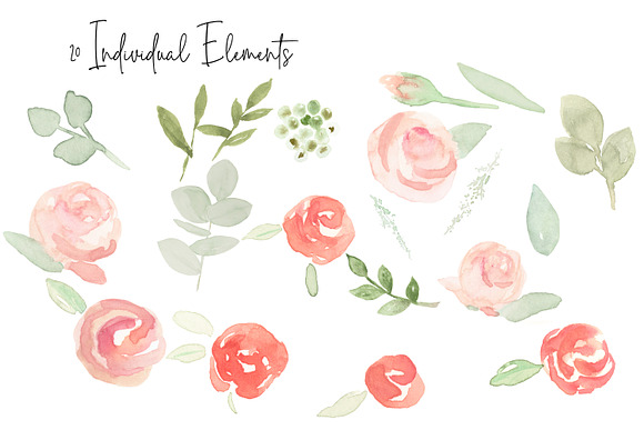 NEW Peach Coral Watercolor Florals in Graphics - product preview 4