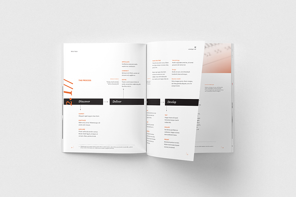 White Paper in Brochure Templates - product preview 7