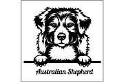 Australian Shepherd - Peeking Dogs -