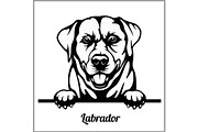 Labrador - Peeking Dogs - - breed