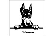 Doberman - Peeking Dogs - - breed