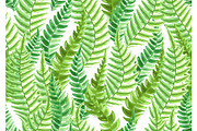 Seamless pattern with fern leaves.