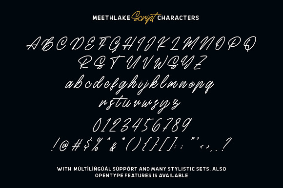 Meethlake Typeface || Vintage Font in Display Fonts - product preview 9
