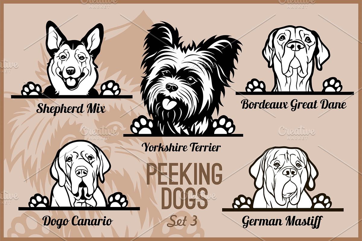Peeking Dogs - vector set. Heads and in Illustrations - product preview 8
