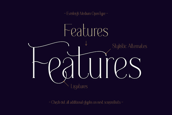 Everleigh Font Duo in Display Fonts - product preview 5