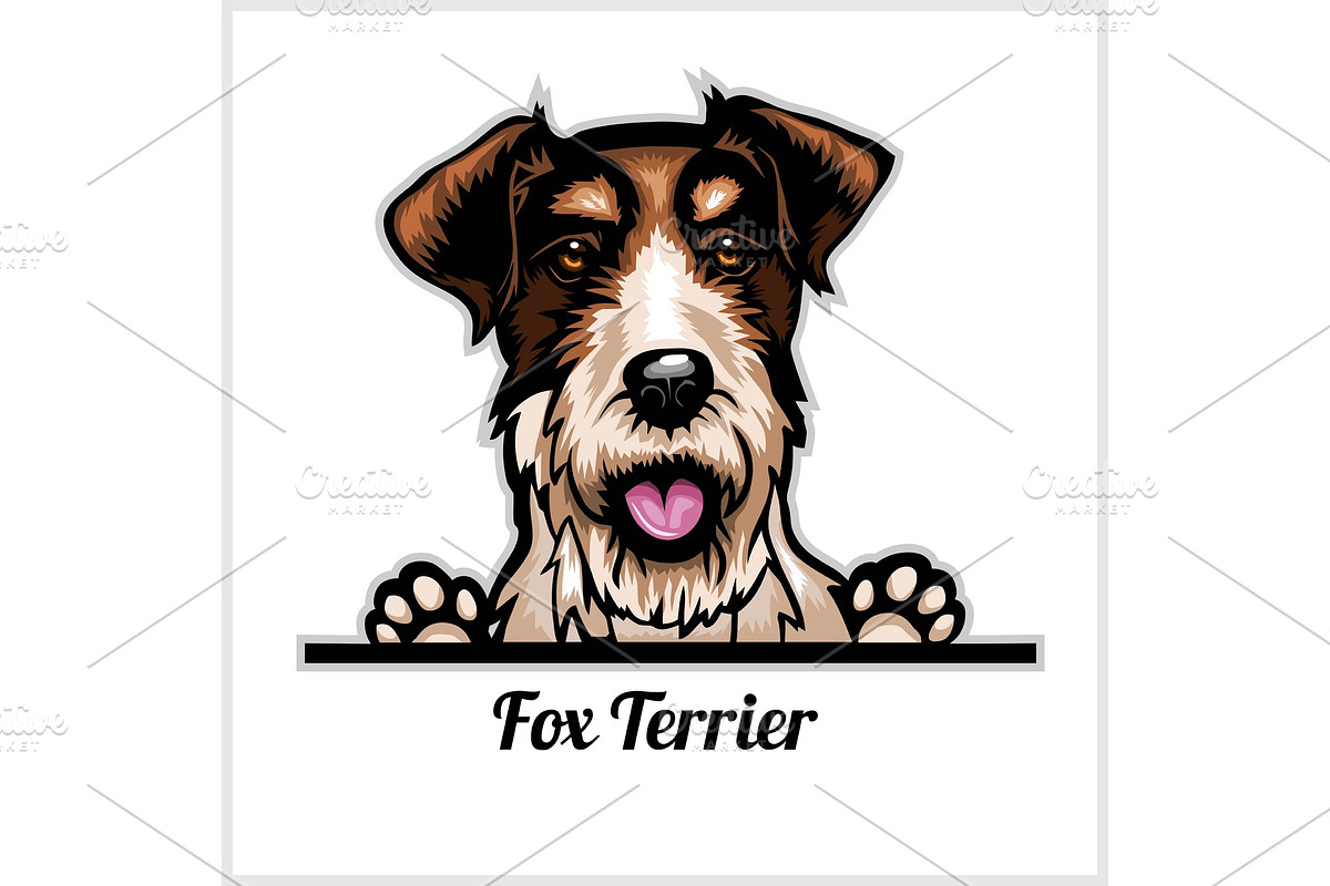 Color dog head, Fox Terrier breed on in Illustrations - product preview 8