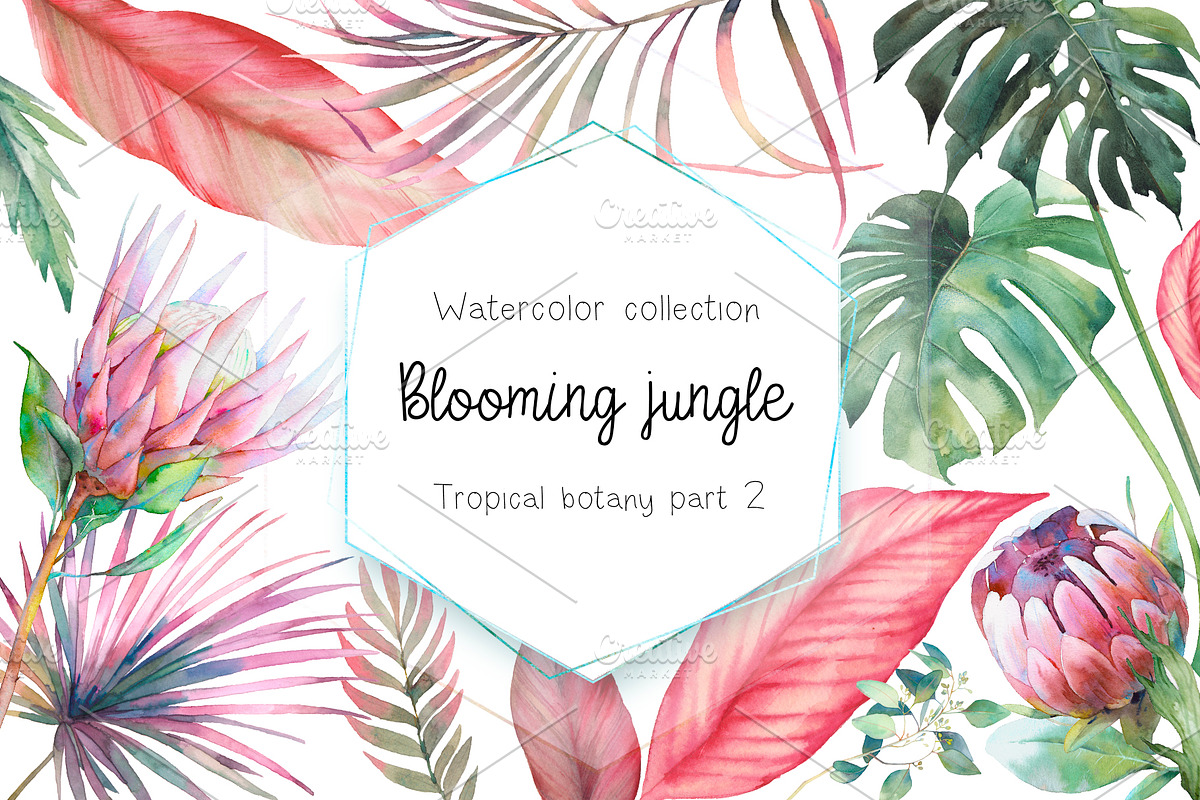 Blooming jungle in Illustrations - product preview 8