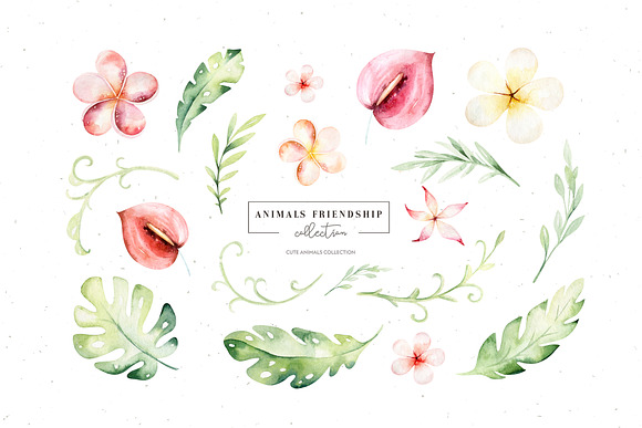 Animals friendship. Baby collection in Illustrations - product preview 6