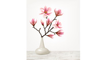 Branches of Pink Magnolia in Vase.