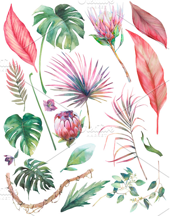 Blooming jungle in Illustrations - product preview 2