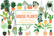 House plants -Illustrations&Patterns