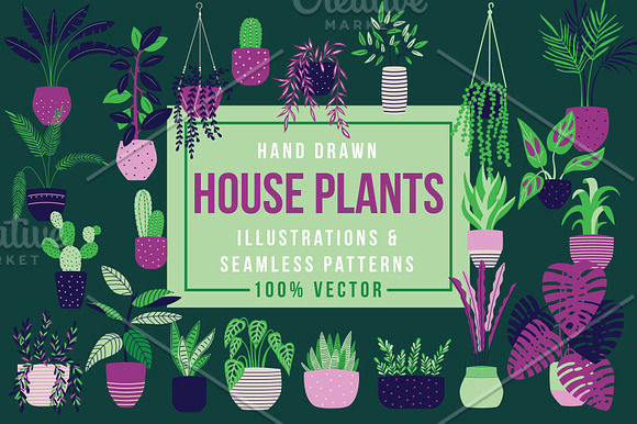 House plants -Illustrations&Patterns in Patterns - product preview 1