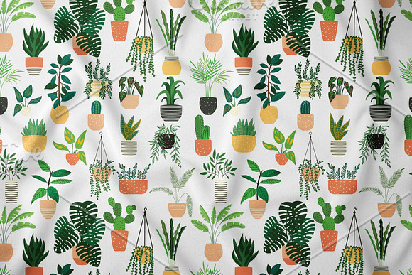 House plants -Illustrations&Patterns in Patterns - product preview 2