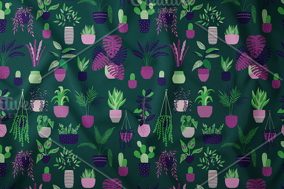 House plants -Illustrations&Patterns in Patterns - product preview 3