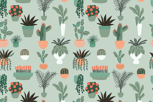 House plants -Illustrations&Patterns in Patterns - product preview 6