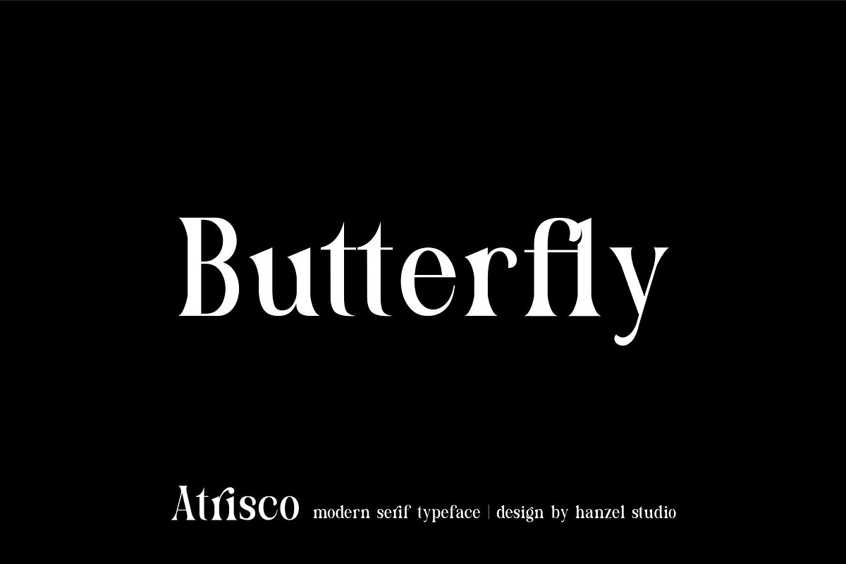 Atrisco - Modern Serif Font in Serif Fonts - product preview 4