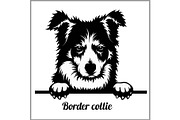 Border Collie - Peeking Dogs - -