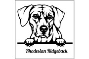 Rhodesian Ridgeback - Peeking Dogs -