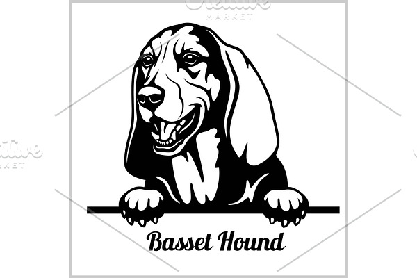 Basset Hound - Peeking Dogs - breed