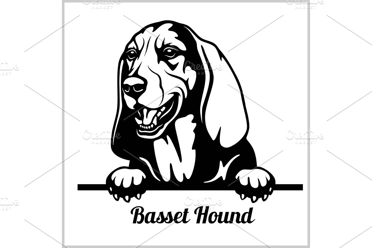 Basset Hound - Peeking Dogs - breed in Illustrations - product preview 8