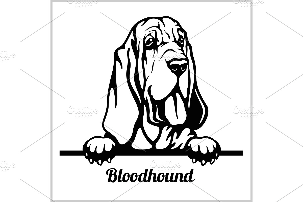 Bloodhound - Peeking Dogs - breed in Illustrations - product preview 8