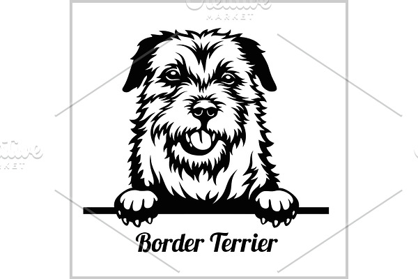 Border Terrier - Peeking Dogs -