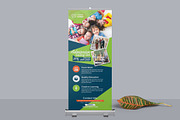 Education Roll-up Banner
