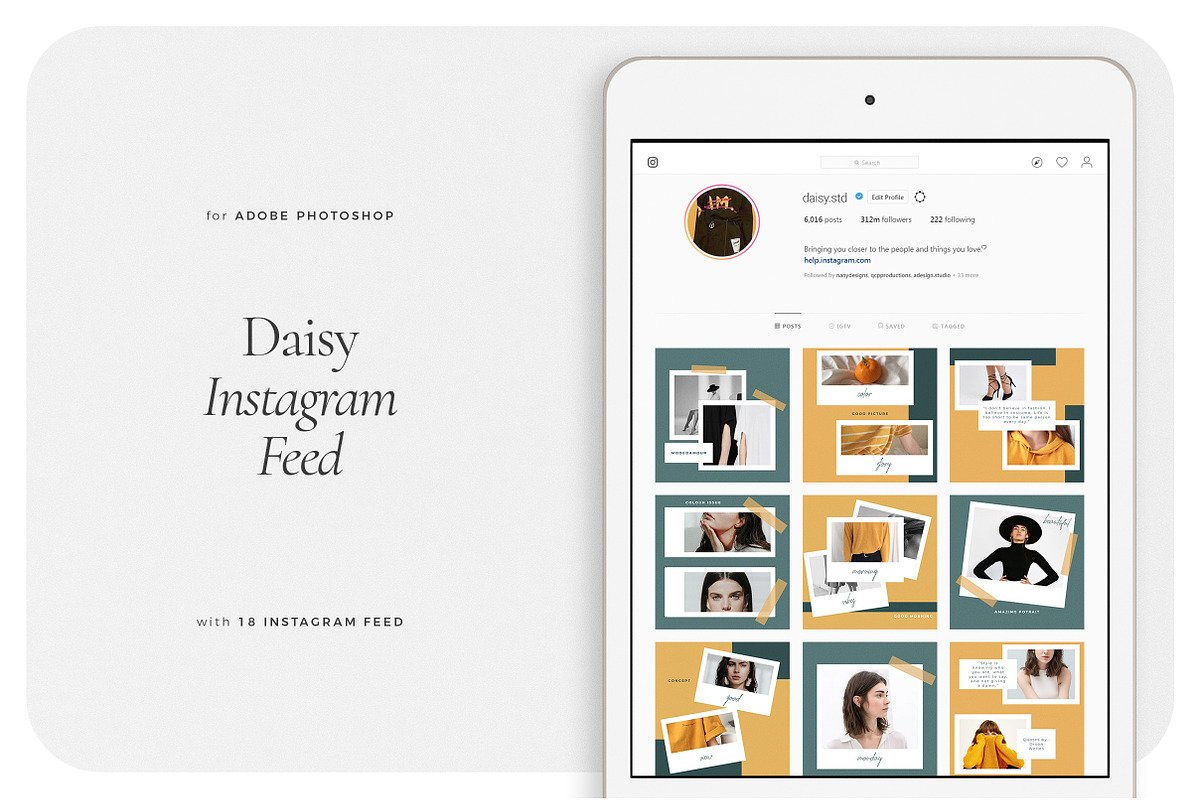 DAISY Instagram Feed in Instagram Templates - product preview 8