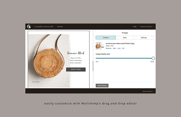 Terracotta Vibes Email Template in Mailchimp Templates - product preview 2