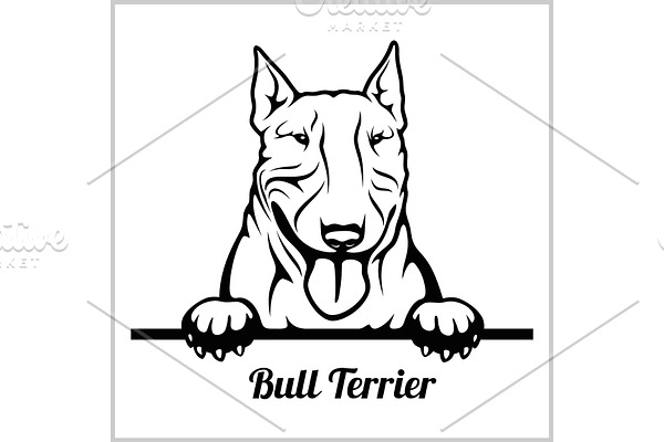 Bull Terrier - Peeking Dogs - breed