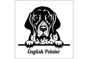 English Pointer - Peeking Dogs -