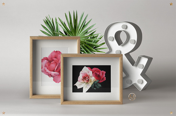 Floral set. Watercolor (14PNG) in Illustrations - product preview 3