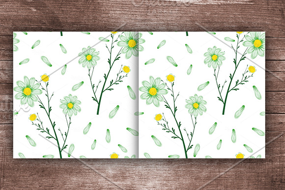 Spring flowers chamomile seamless in Illustrations - product preview 3