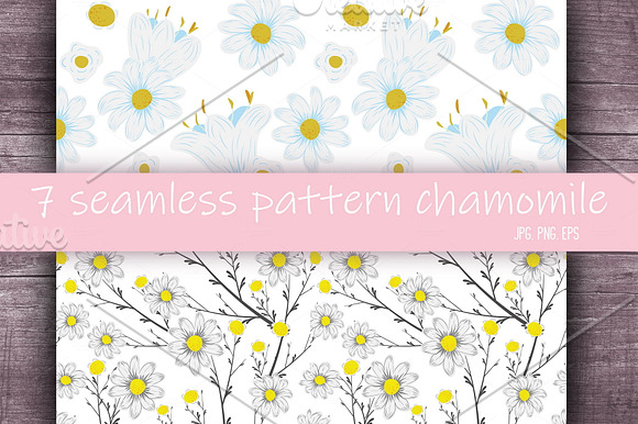 Spring flowers chamomile seamless in Illustrations - product preview 7