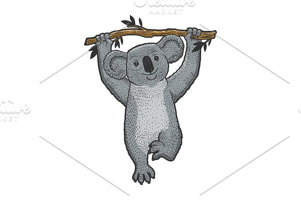 Koala bear on tree sketch engraving