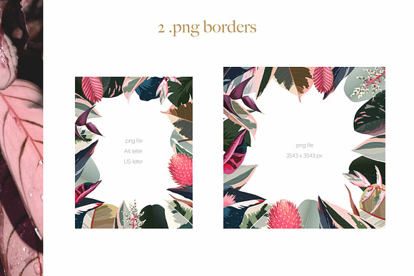 Pink tropical frames and patterns in Illustrations - product preview 10